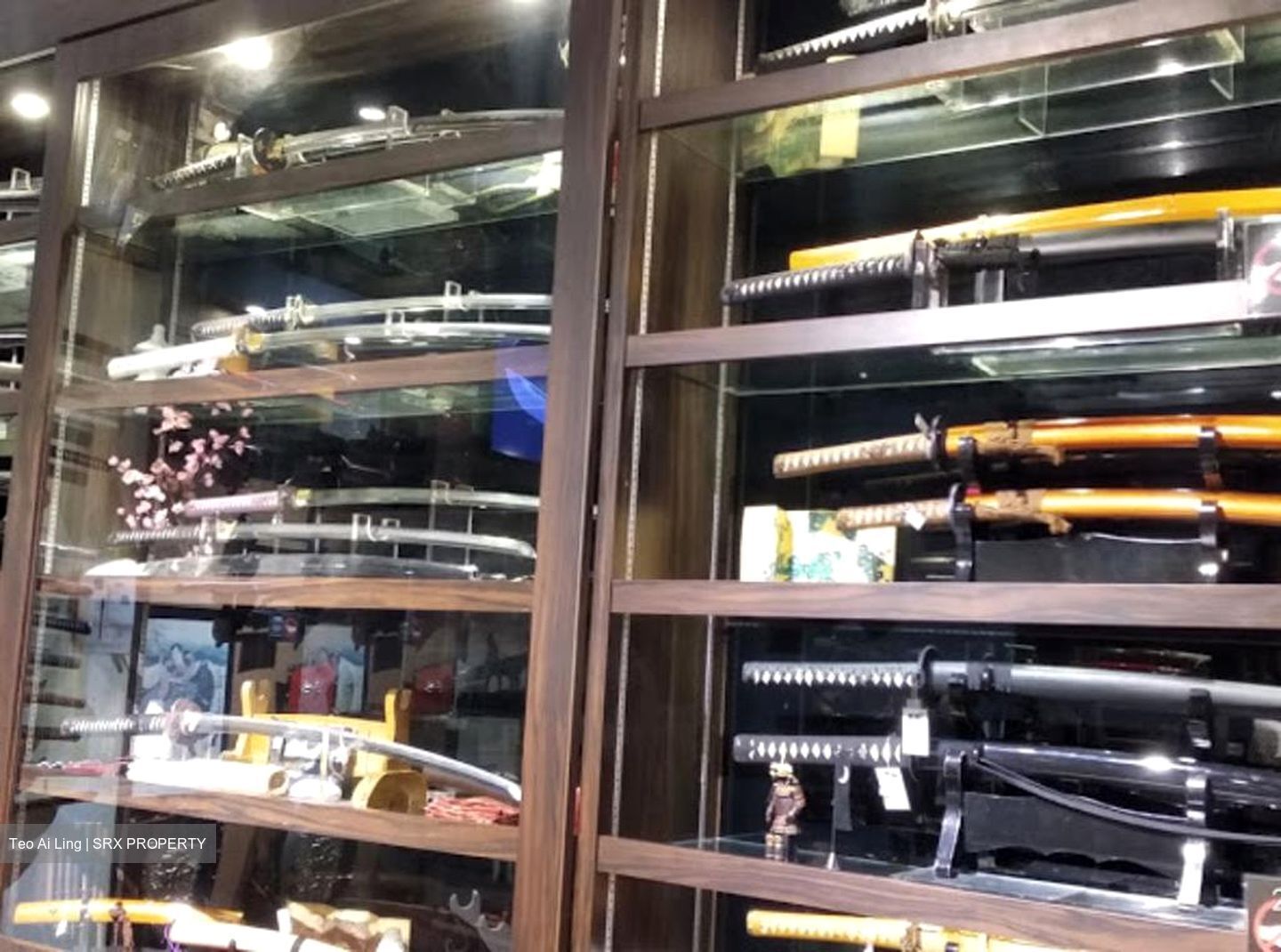 Hongkong Street (D1), Shop House #461288151